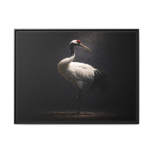 40x30 framed matte canvas featuring red-crowned crane wall art portrait with dramatic lighting and deep tonal contrast2