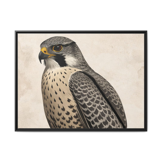Falcon portrait wall art 40x30 framed matte canvas with neutral textured background