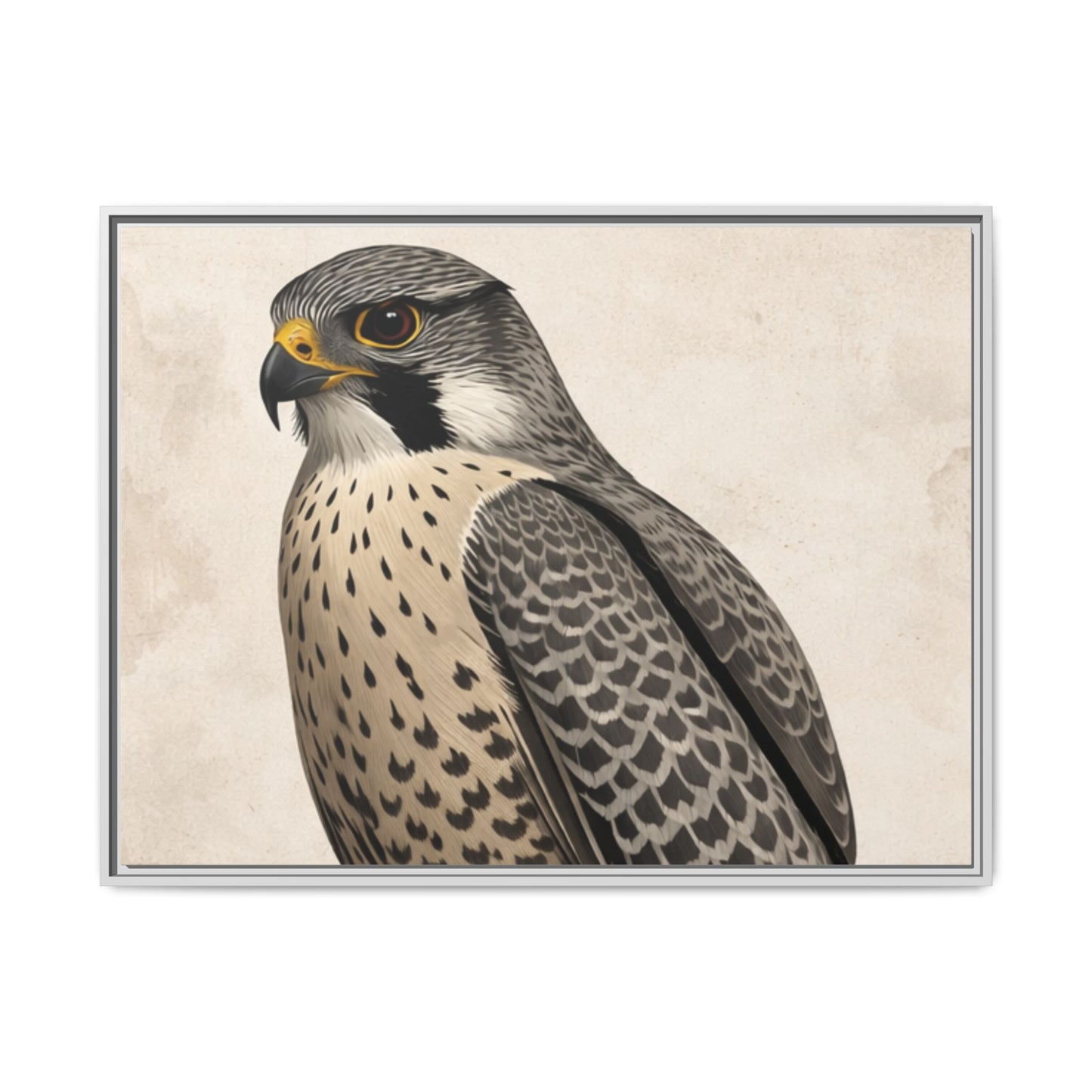 Falcon portrait wall art 40x30 framed matte canvas with neutral textured background