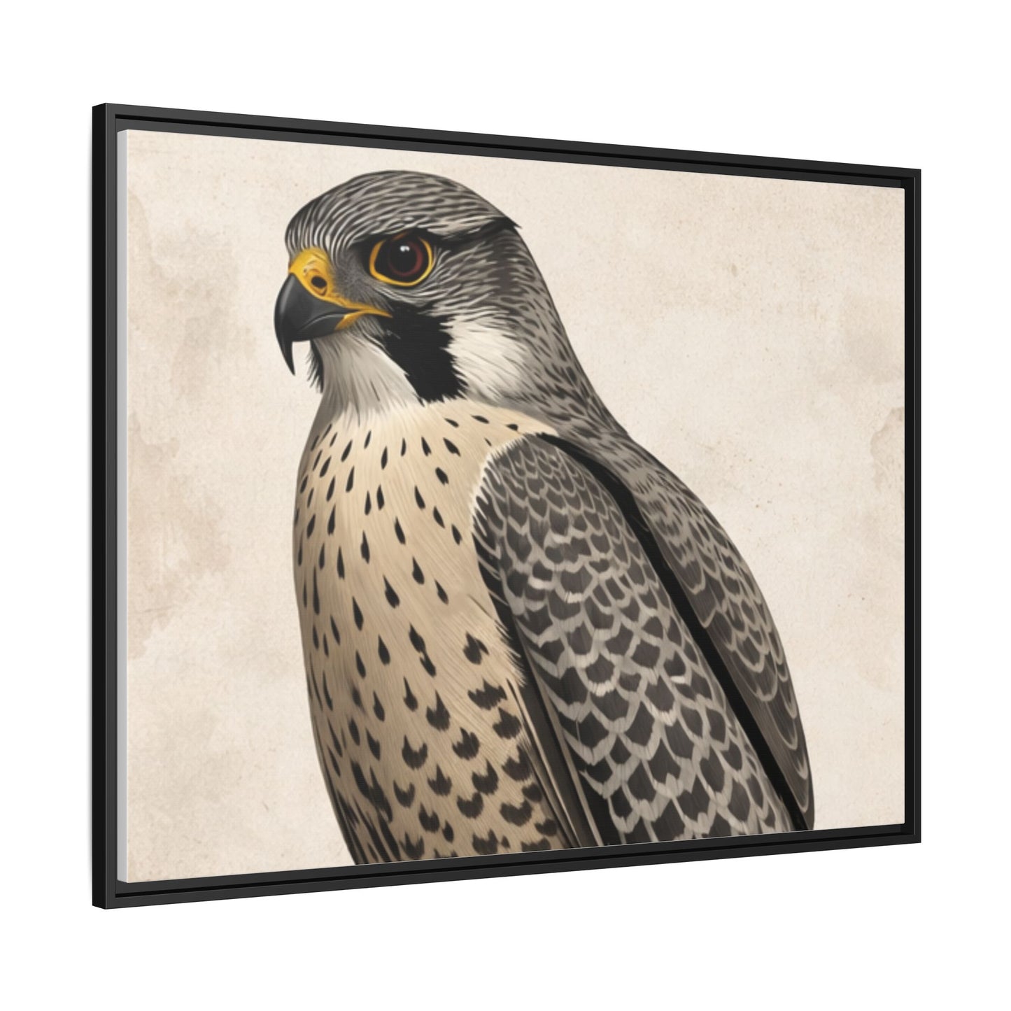 Falcon portrait wall art 40x30 framed matte canvas with neutral textured background
