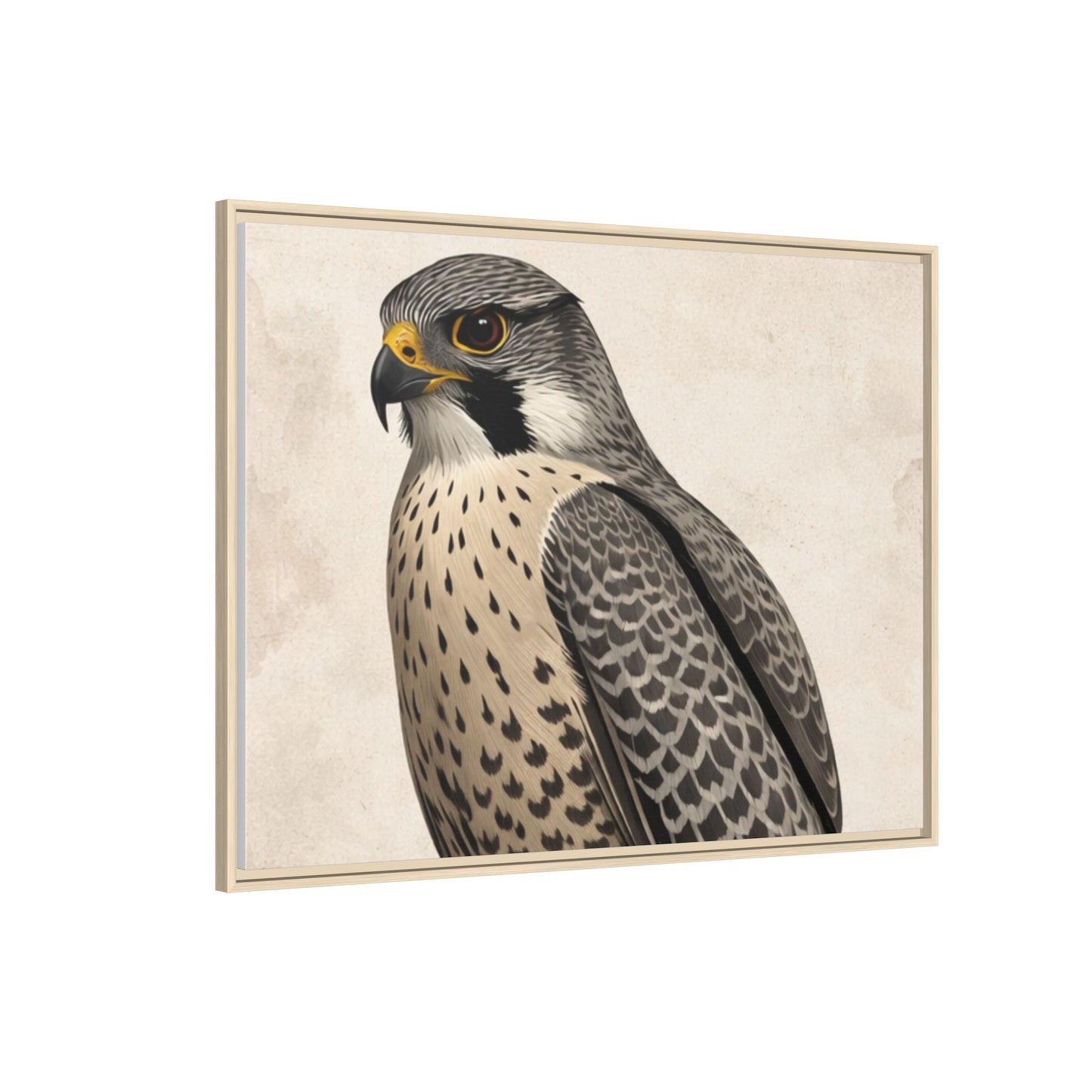 Falcon portrait wall art 40x30 framed matte canvas with neutral textured background