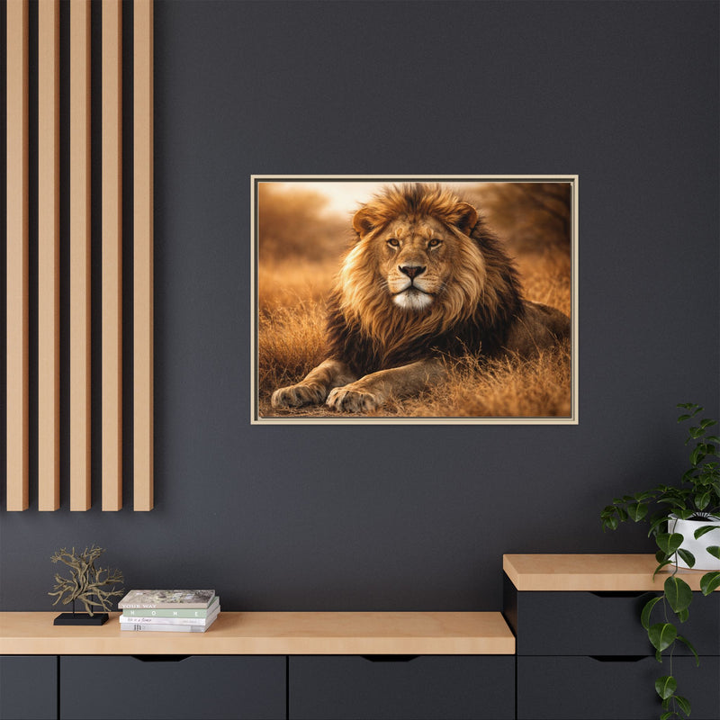 Lion in savannah wall art 40x30 framed matte canvas portrait in golden tones12