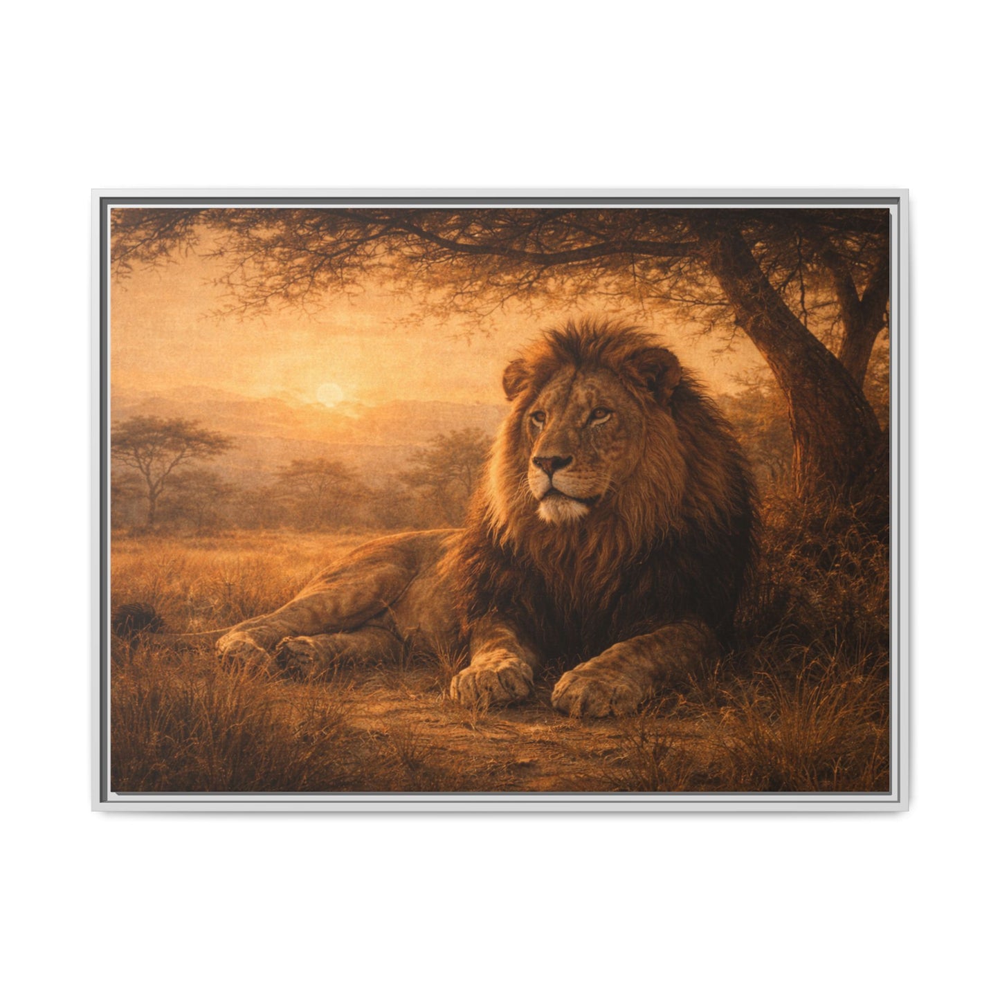 Lion sunset wall art 40x30 framed matte canvas portrait resting under savanna tree at sunset