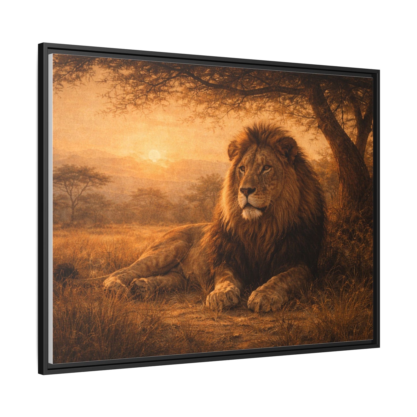 Lion sunset wall art 40x30 framed matte canvas portrait resting under savanna tree at sunset