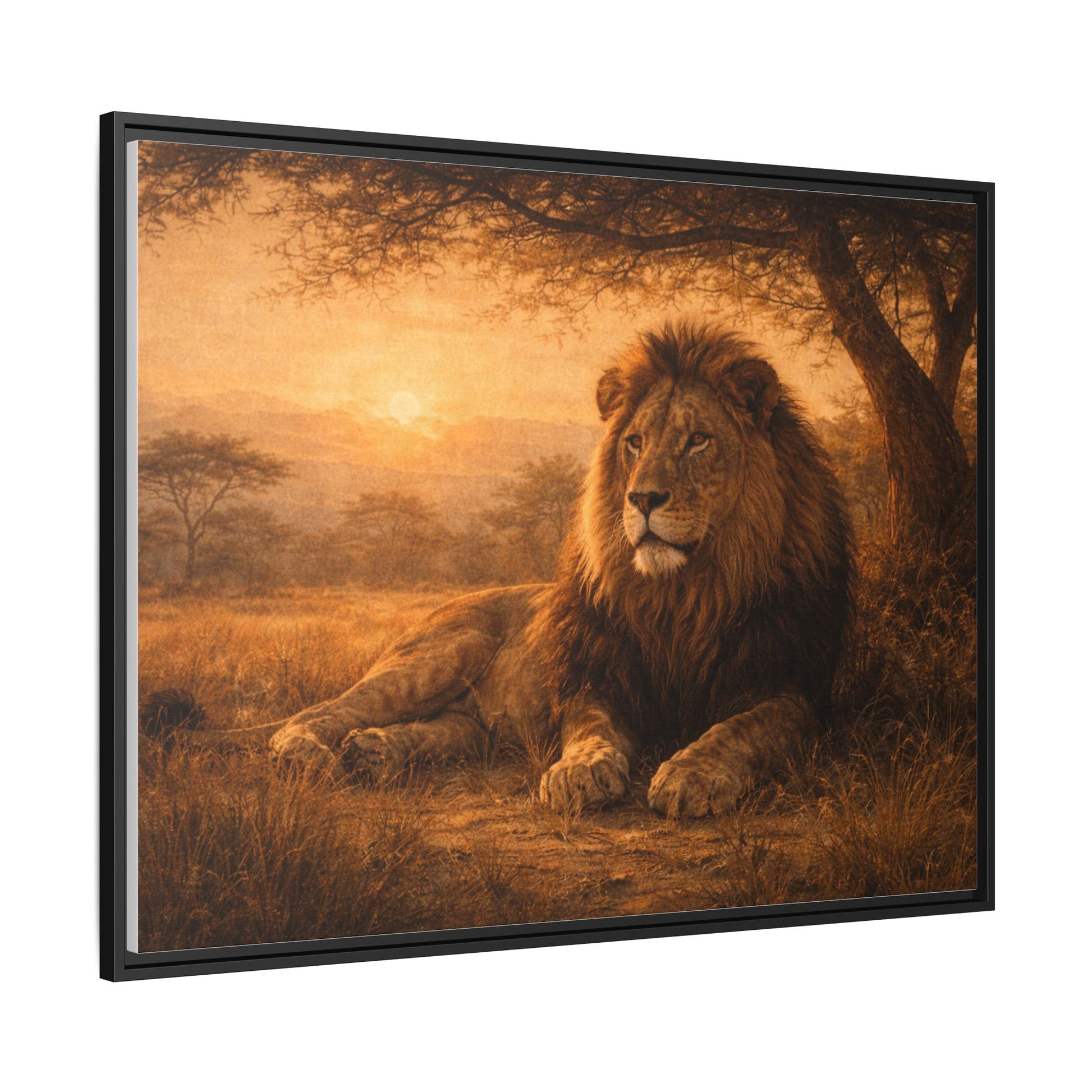 Lion sunset wall art 40x30 framed matte canvas portrait resting under savanna tree at sunset