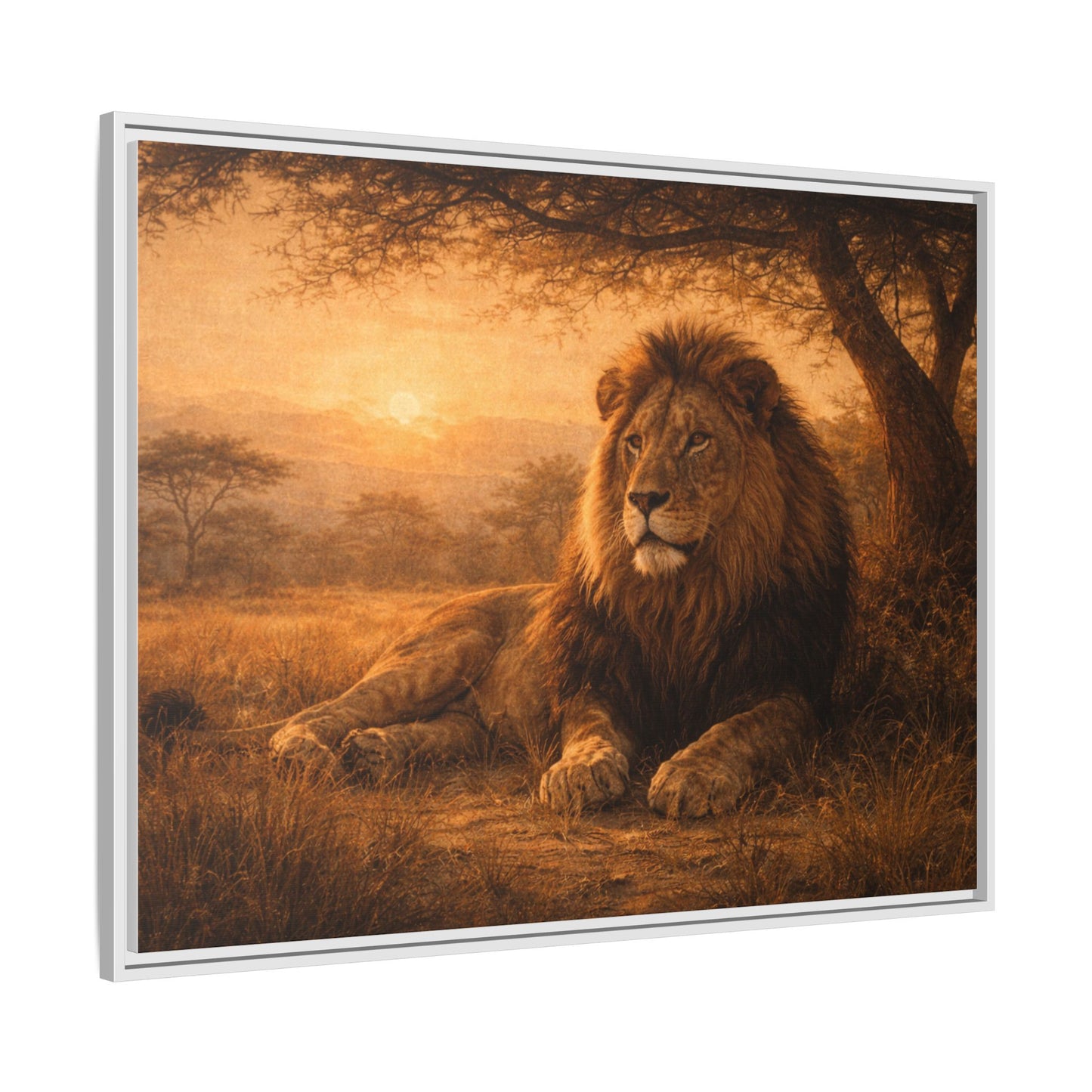 Lion sunset wall art 40x30 framed matte canvas portrait resting under savanna tree at sunset