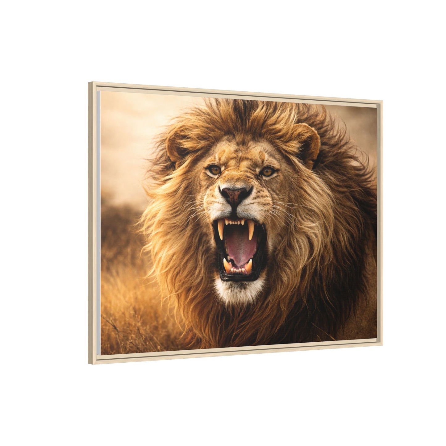 Roaring lion wall art 40x30 framed matte canvas portrait in warm safari tones