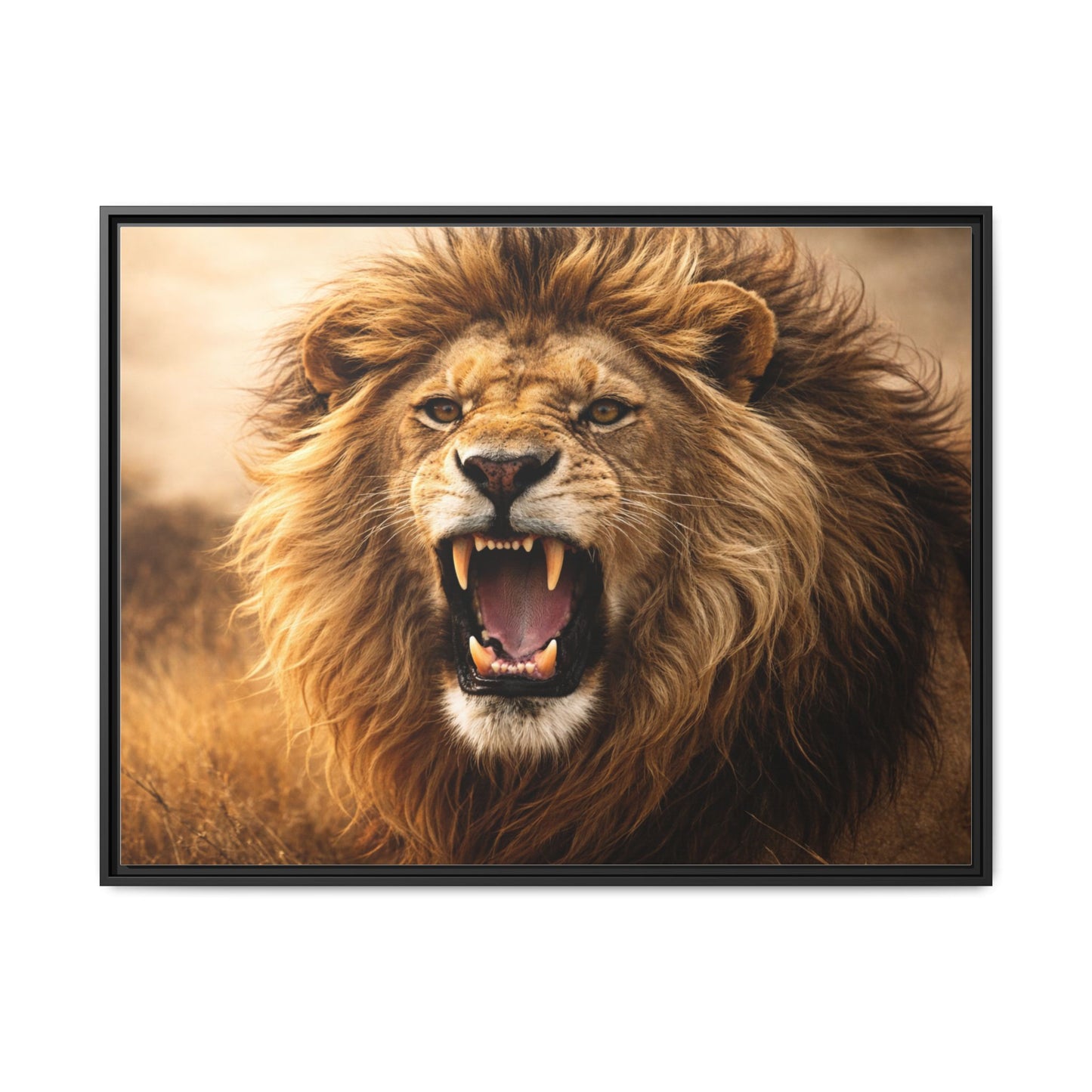 Roaring lion wall art 40x30 framed matte canvas portrait in warm safari tones