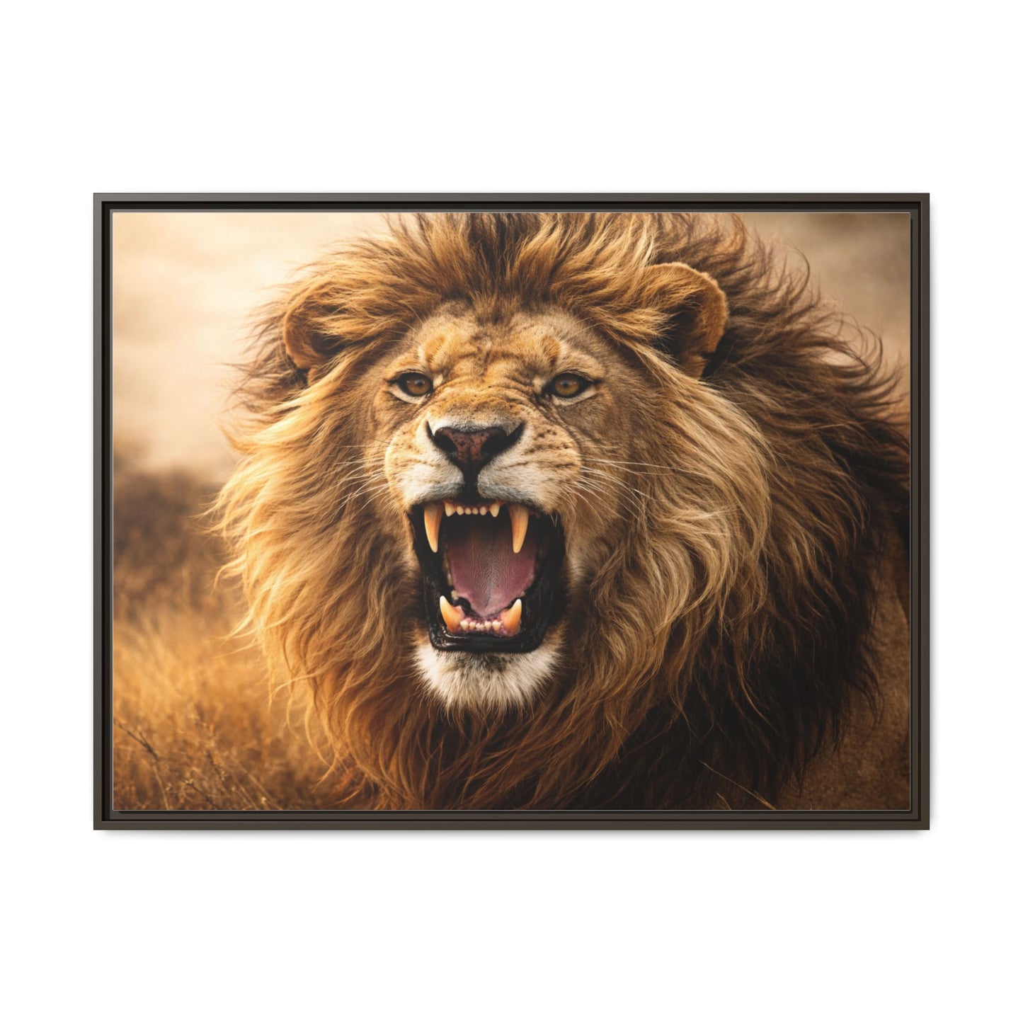 Roaring lion wall art 40x30 framed matte canvas portrait in warm safari tones
