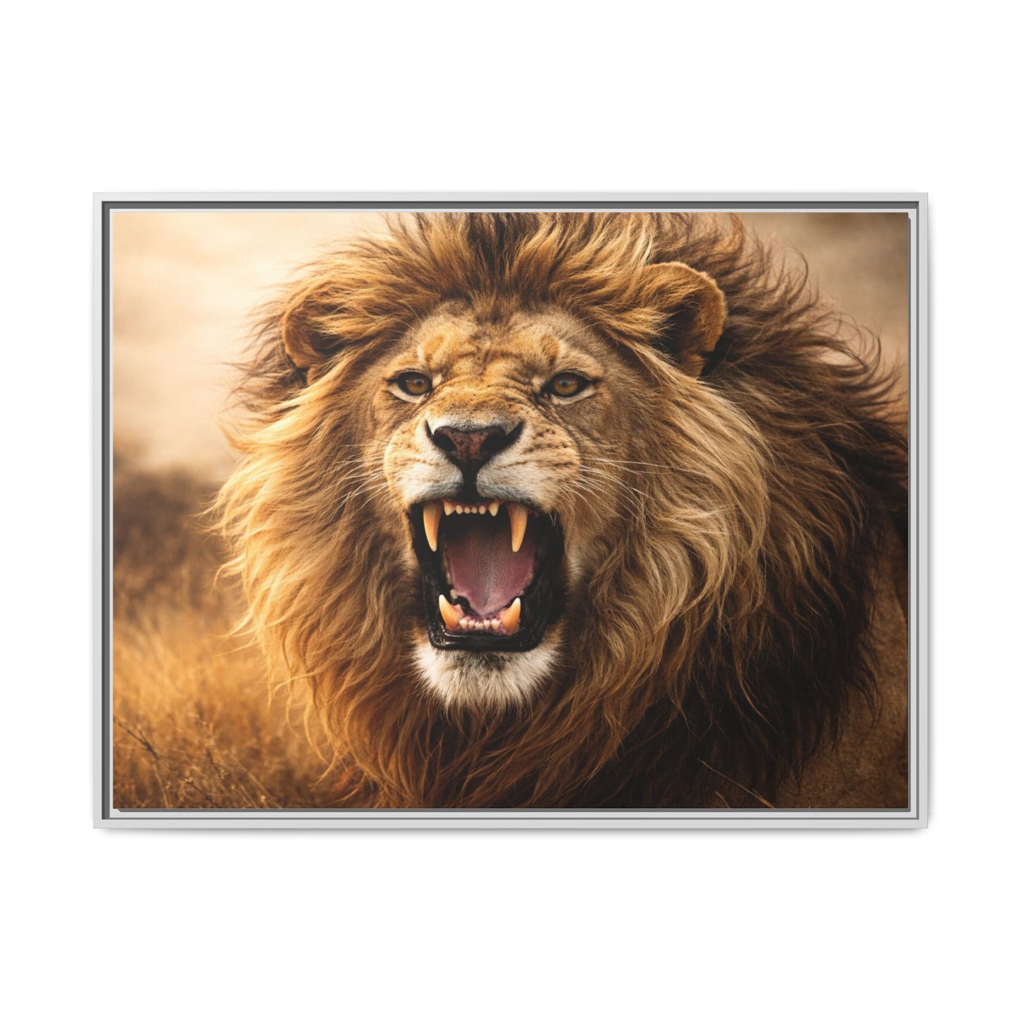 Roaring lion wall art 40x30 framed matte canvas portrait in warm safari tones