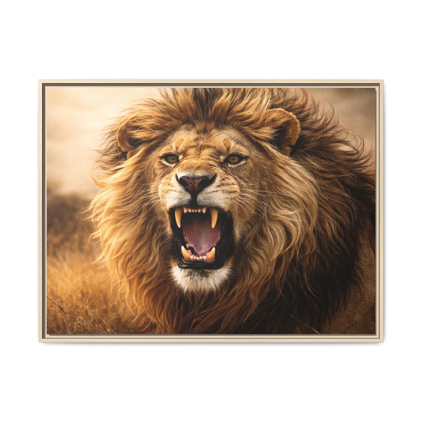 Roaring lion wall art 40x30 framed matte canvas portrait in warm safari tones