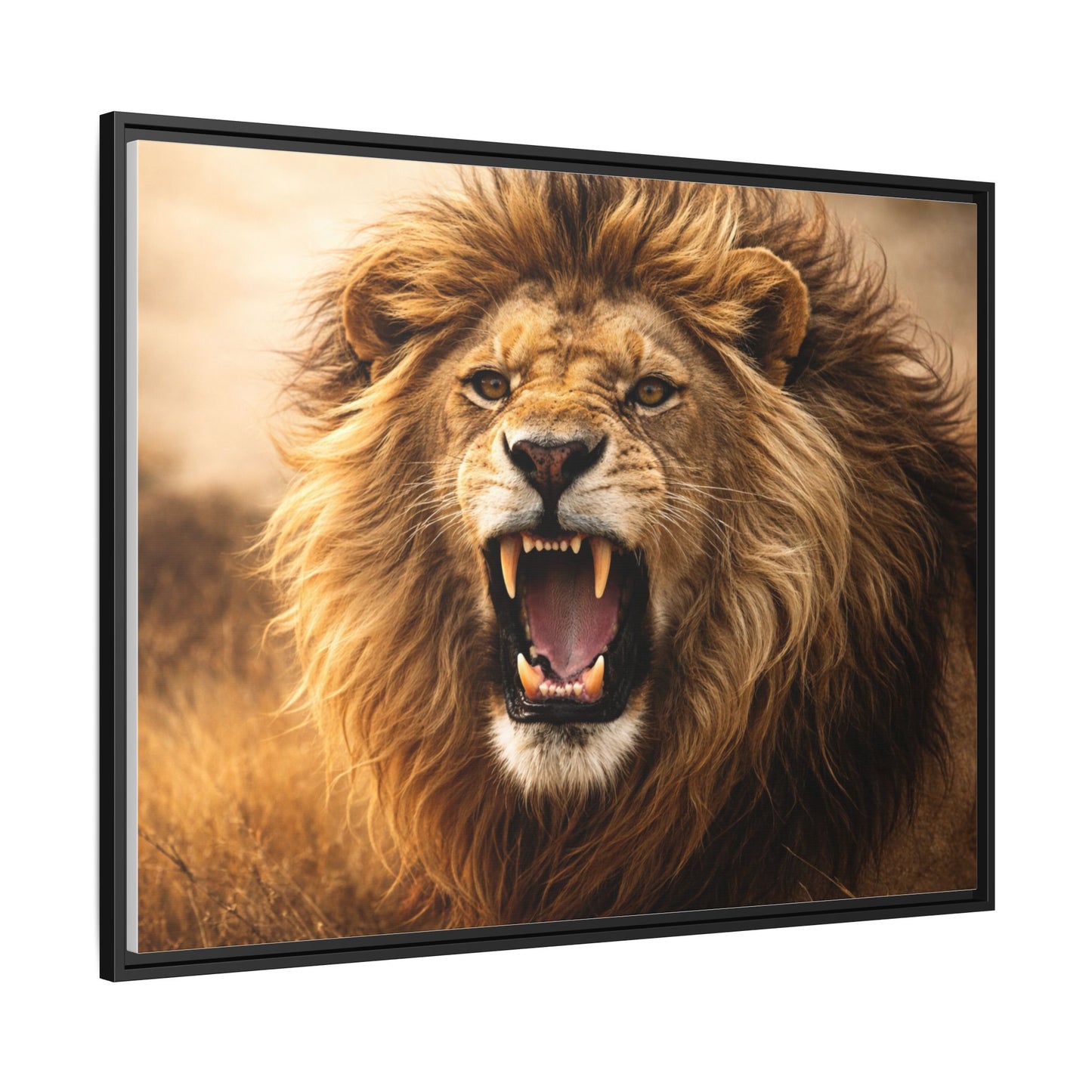 Roaring lion wall art 40x30 framed matte canvas portrait in warm safari tones