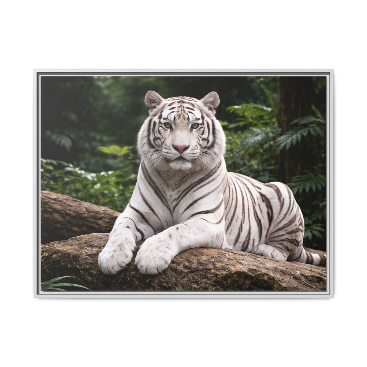 White tiger wall art 40x30 framed matte canvas portrait in black frame3