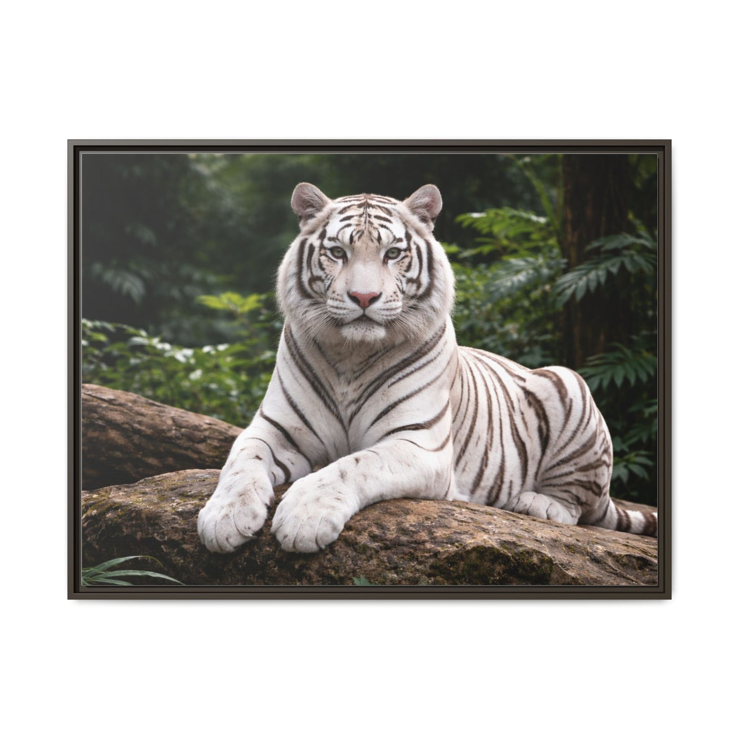 White tiger wall art 40x30 framed matte canvas portrait in black frame4