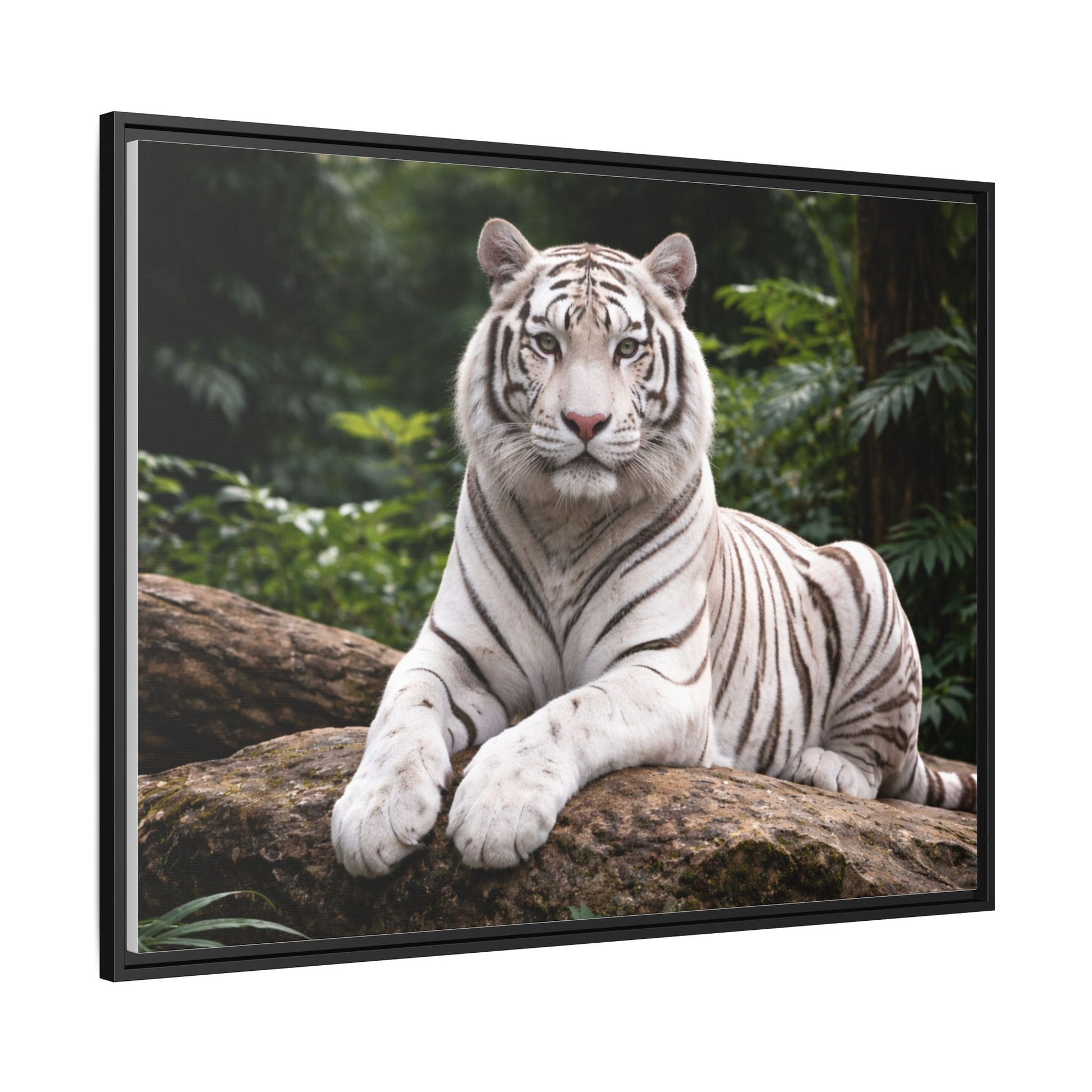 White tiger wall art 40x30 framed matte canvas portrait in black frame5