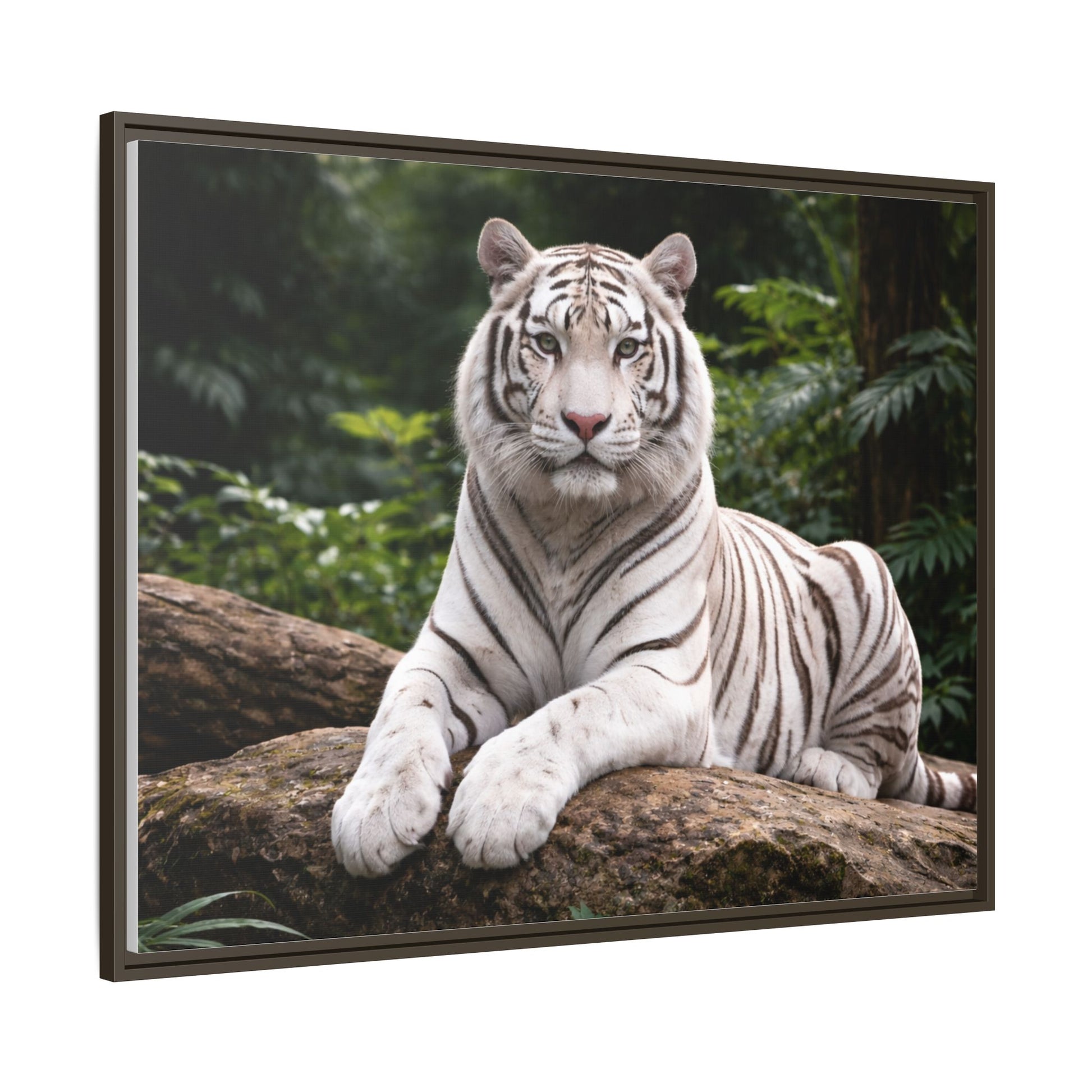 White tiger wall art 40x30 framed matte canvas portrait in black frame8